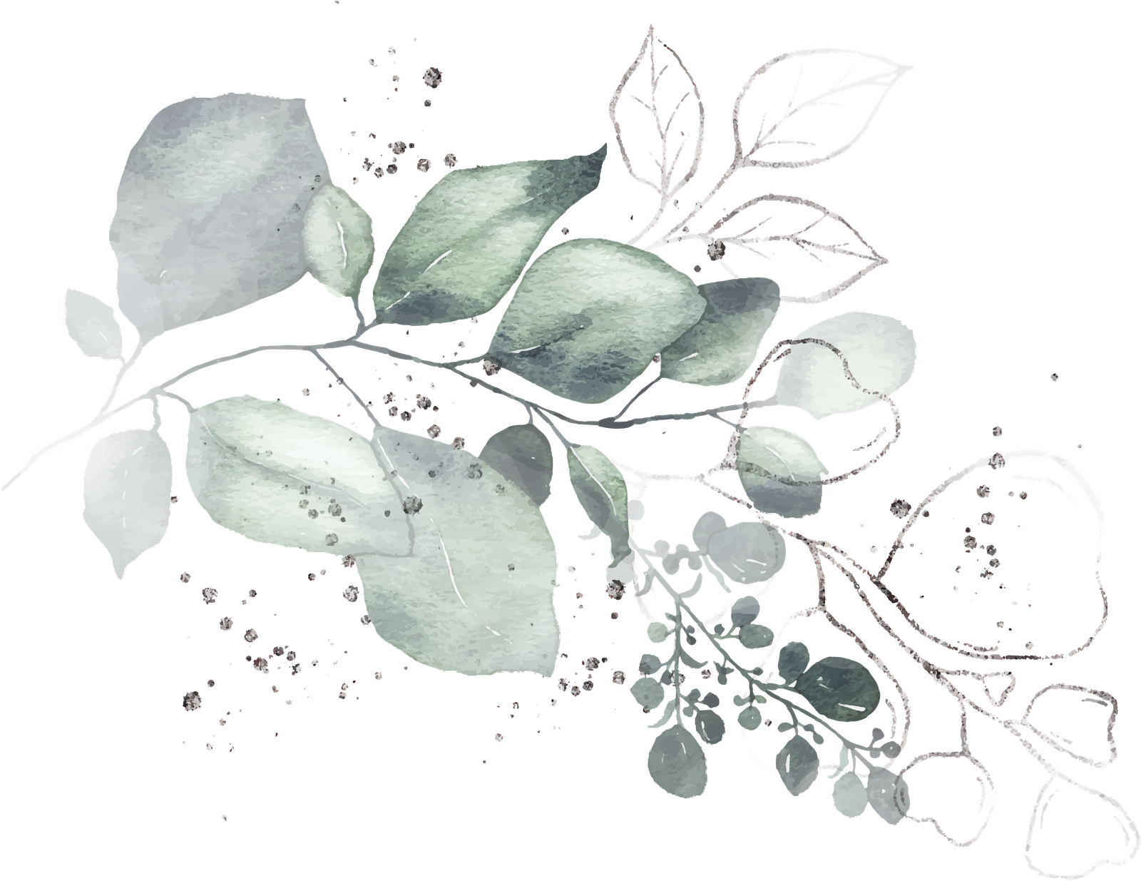 Imagen de una hoja verde