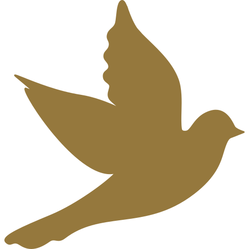 Imagen de una paloma